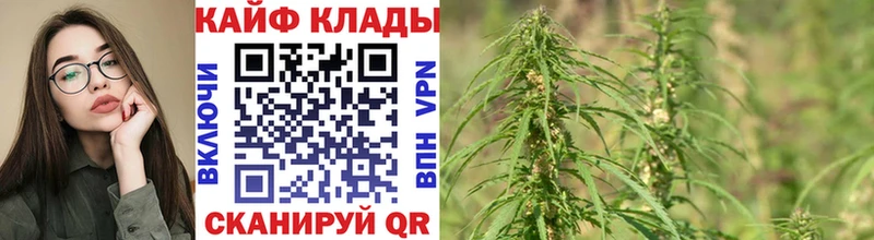 Как найти наркотики Шенкурск ГАШИШ  Alpha-PVP  Амфетамин  МЕФ 