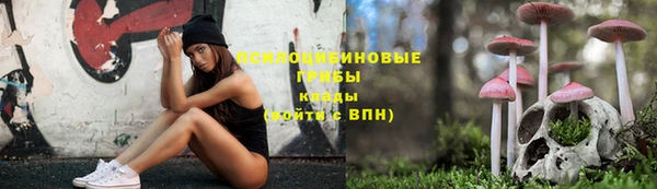 стафф Аркадак