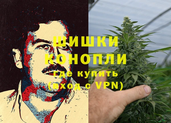 spice Арсеньев