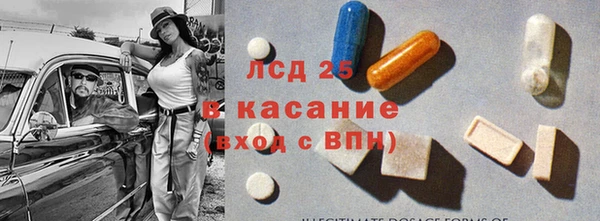 стафф Аркадак
