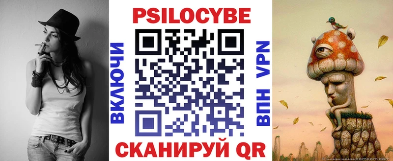 Псилоцибиновые грибы Psilocybine cubensis  Шенкурск 