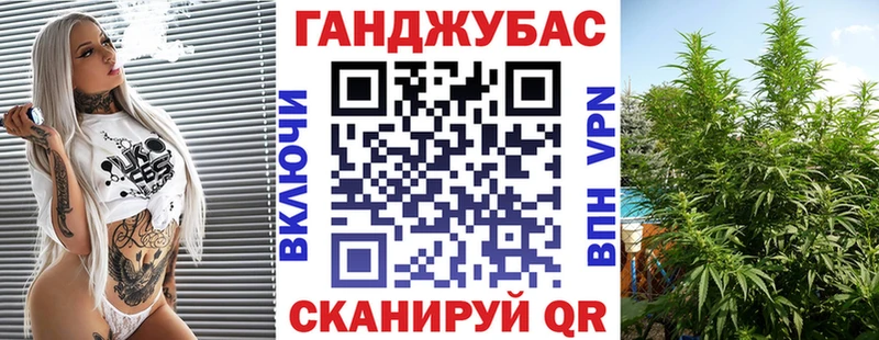shop наркотические препараты  магазин продажи наркотиков  Шенкурск  Конопля план 